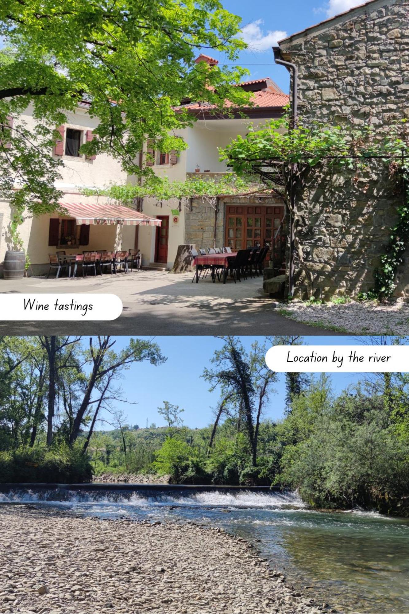 Bordon Wines, Estate With Accommodation Dekani Ngoại thất bức ảnh